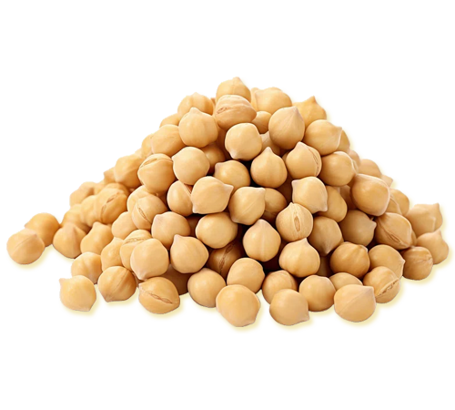 best chickpeas exporters in india