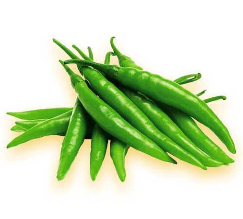 best chilli exporters in india