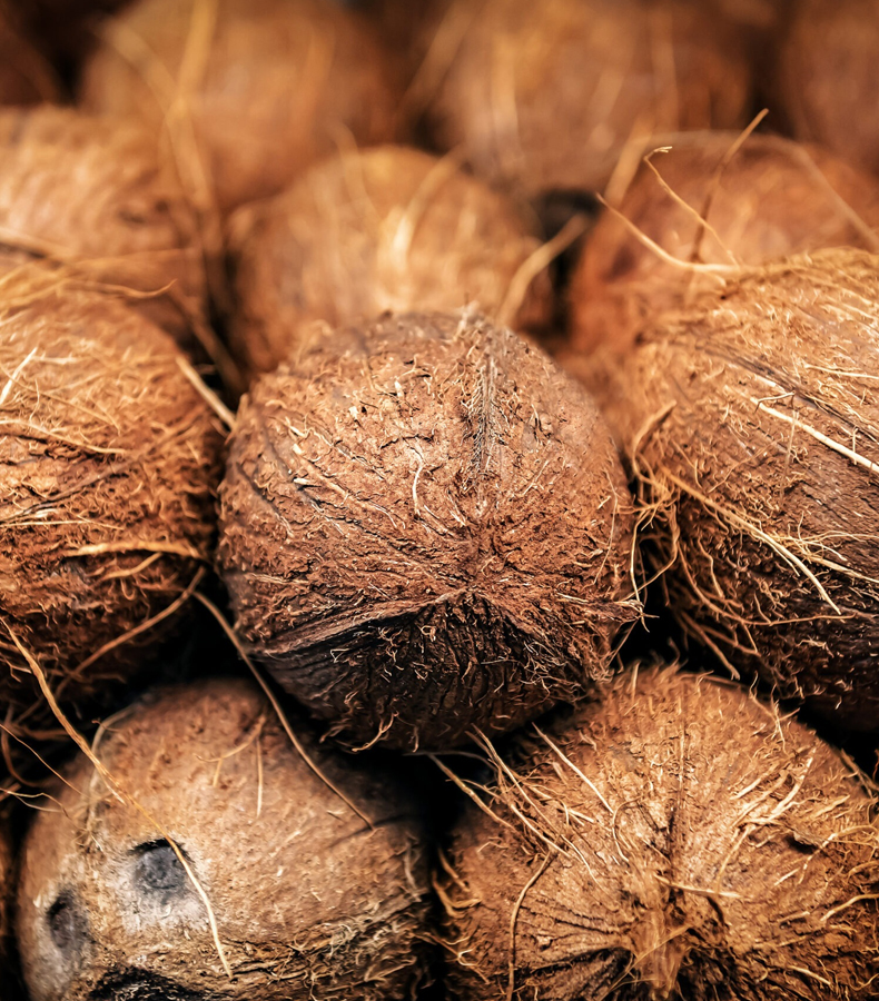 Coconut
