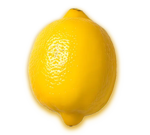 best lemon exporters in india