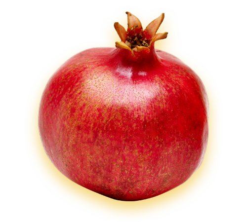best pomegranates exporters in india