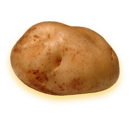 best potato exporters in india
