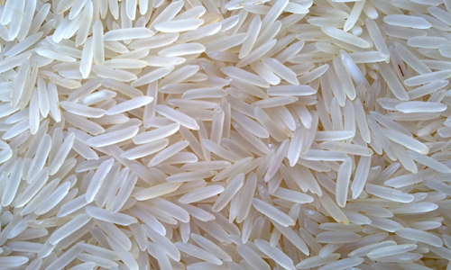 rice